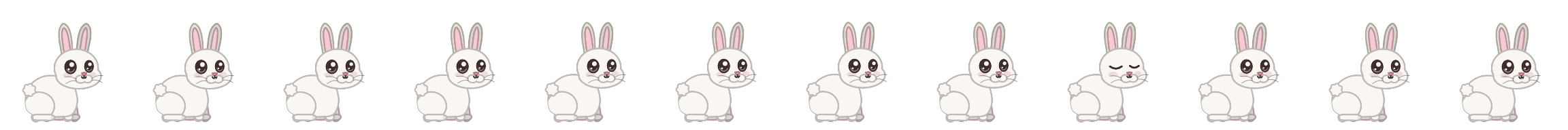 Cotton bunny