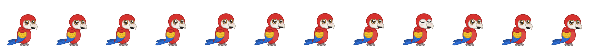 Scarlet macaw parrot