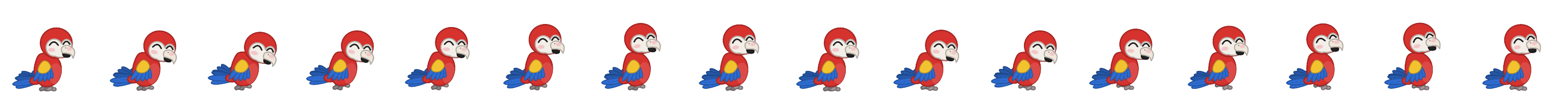 A scarlet macaw bobbing its head